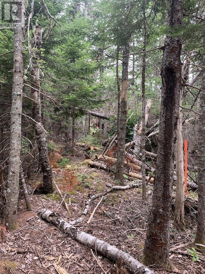 VVR Lot 6 Hunter Road, West Wentworth, photo 3