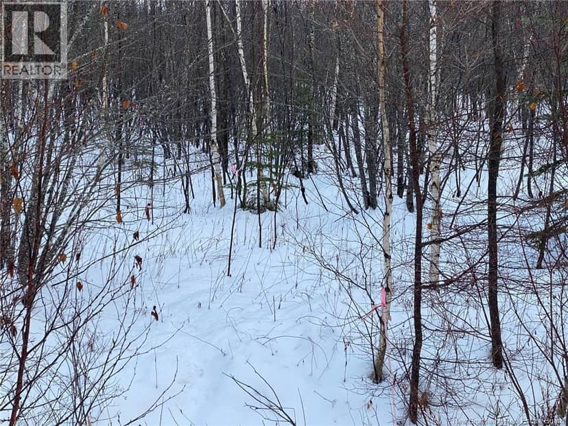 Lot 21-4 Waterway Road, McQuade, photo 4