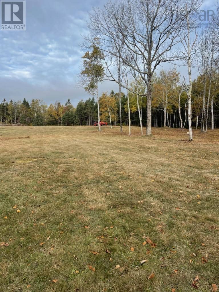 3335 358 Highway — photo 5 of 15