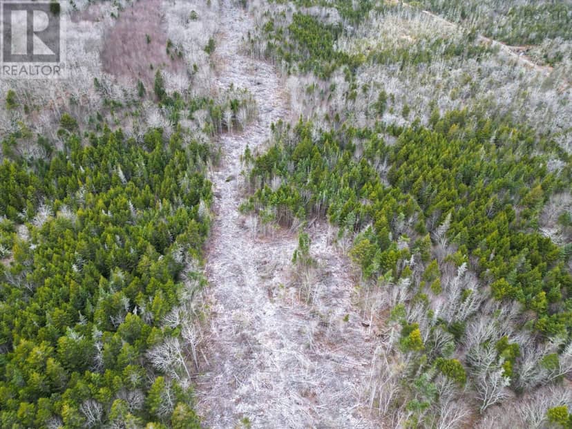 Lot Peter LeBlanc Road — photo 13 of 16