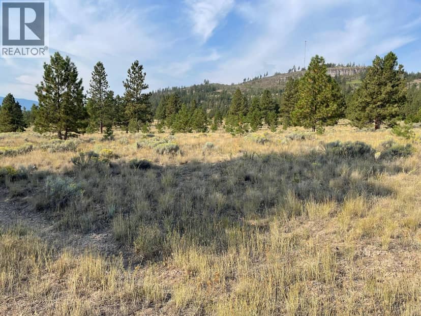 923 Midday Valley Road, Merritt, photo 3