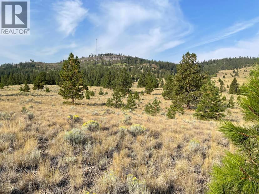 923 Midday Valley Road, Merritt, photo 7