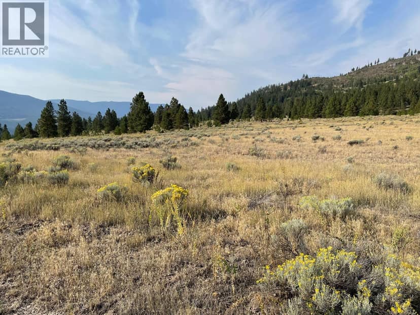 923 Midday Valley Road, Merritt, photo 8