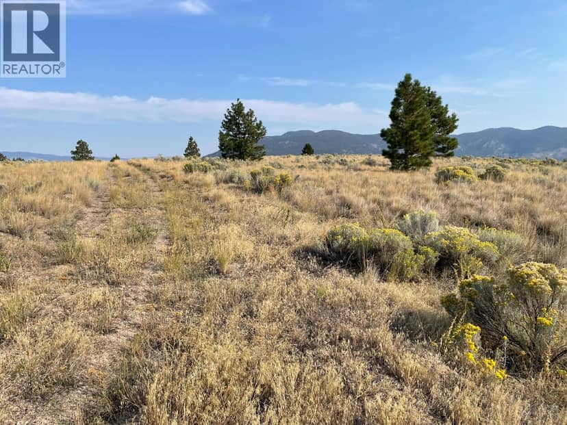 923 Midday Valley Road, Merritt, photo 4