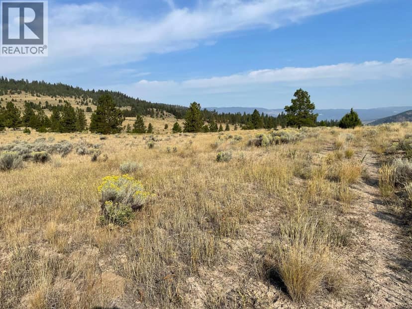 923 Midday Valley Road, Merritt, photo 5