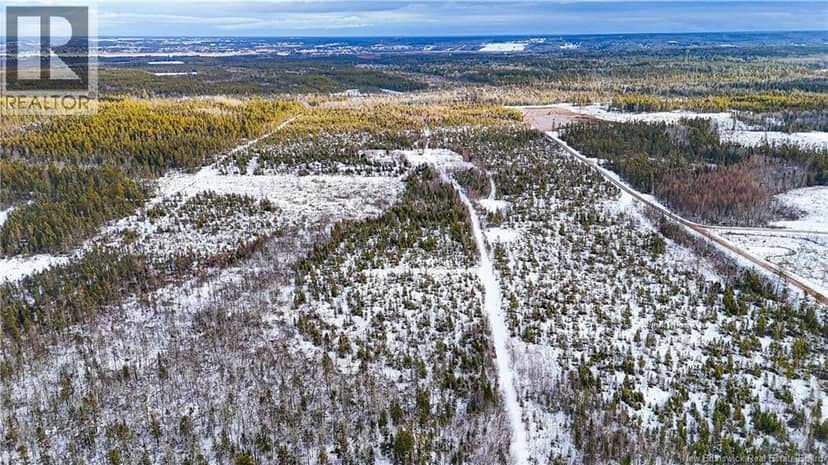 Lot Pine glen Road — photo 3 of 12