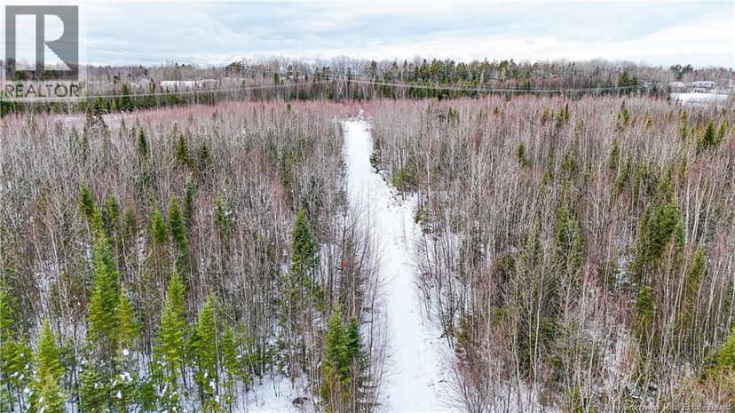 Lot Pine glen Road — photo 4 of 12