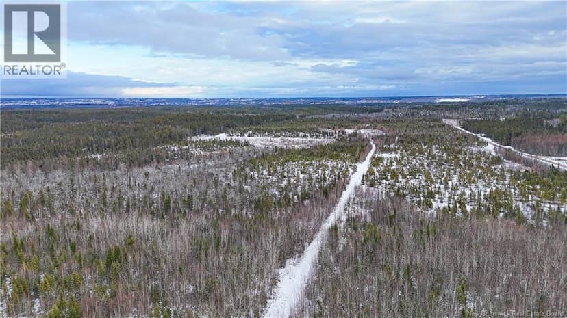 Lot Pine glen Road — photo 5 of 12