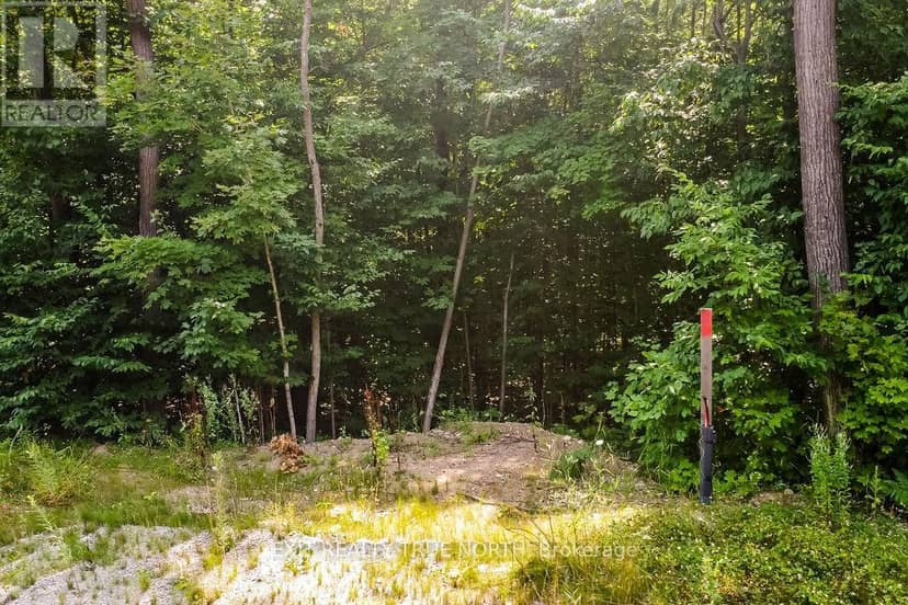 Lt 45 Explorers Landing — photo 4 of 9