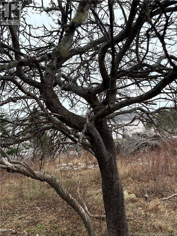 1480 Route 790 — photo 4 of 9