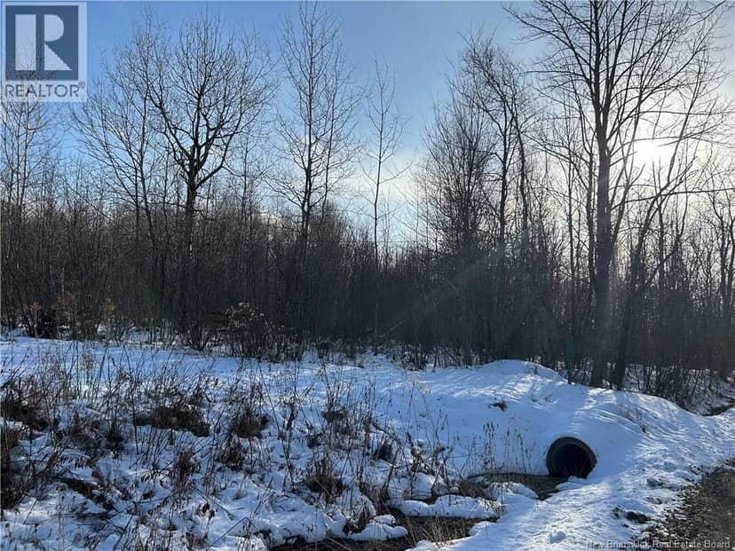 O Resevoir Road, St. Stephen, photo 3