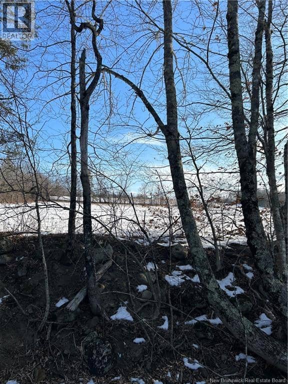 O Resevoir Road, St. Stephen, photo 6