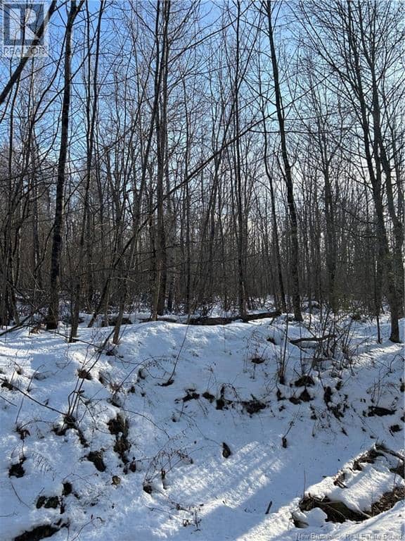 O Resevoir Road, St. Stephen, photo 7