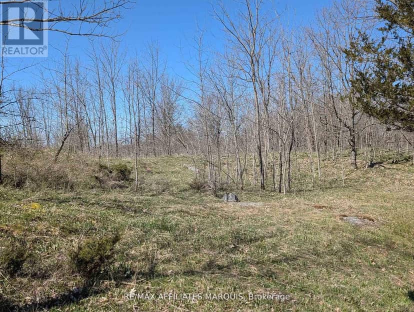 0 Little Crosby Lake Road — photo 14 of 16