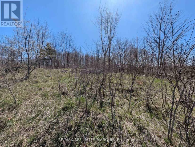 0 Little Crosby Lake Road — photo 10 of 16