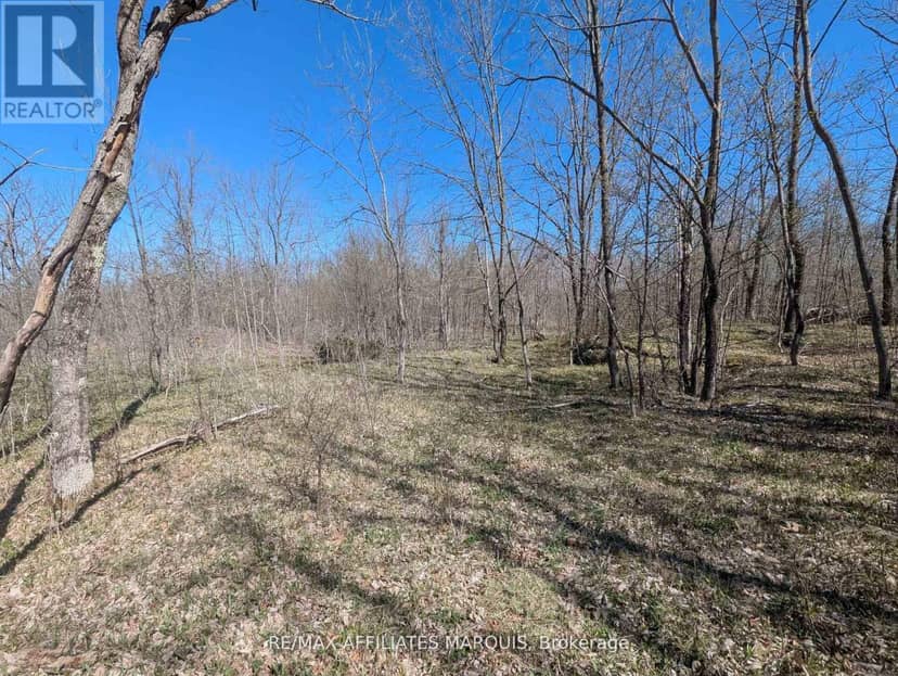 0 Little Crosby Lake Road — photo 16 of 16