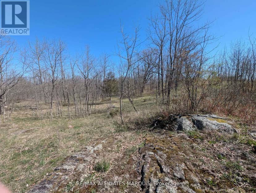 0 Little Crosby Lake Road — photo 11 of 16