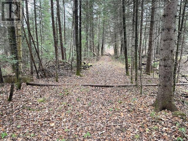Pcl 7576 0 N, Dryden, photo 8