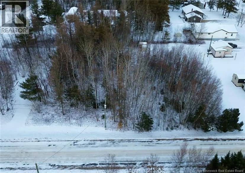 LOT Rue Jeanne, Rogersville, photo 4