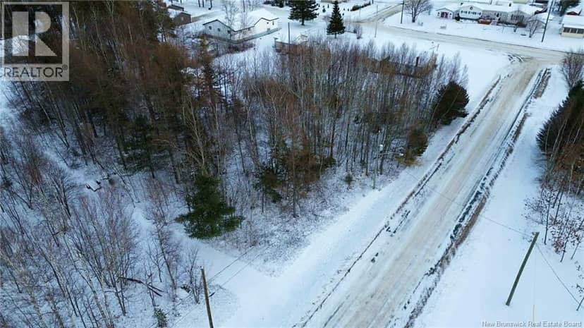 LOT Rue Jeanne, Rogersville, photo 5