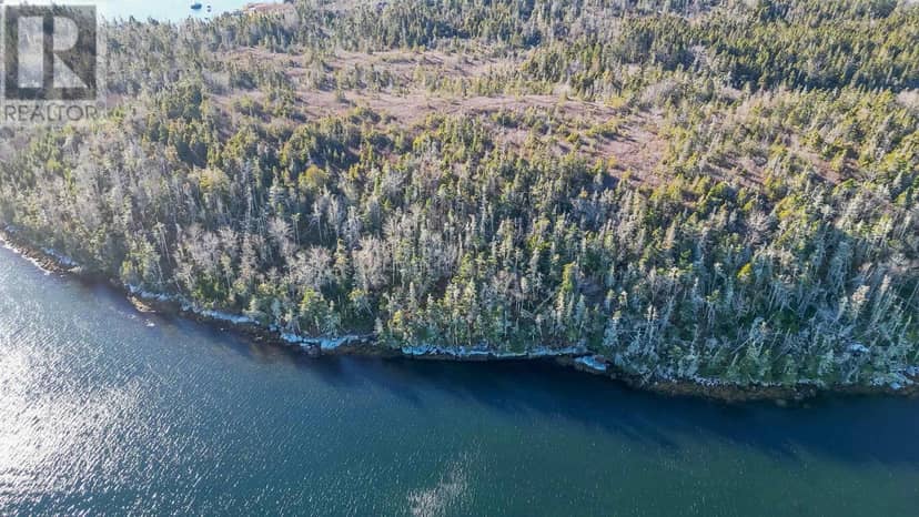 2&3 Privateer Island — photo 8 of 10