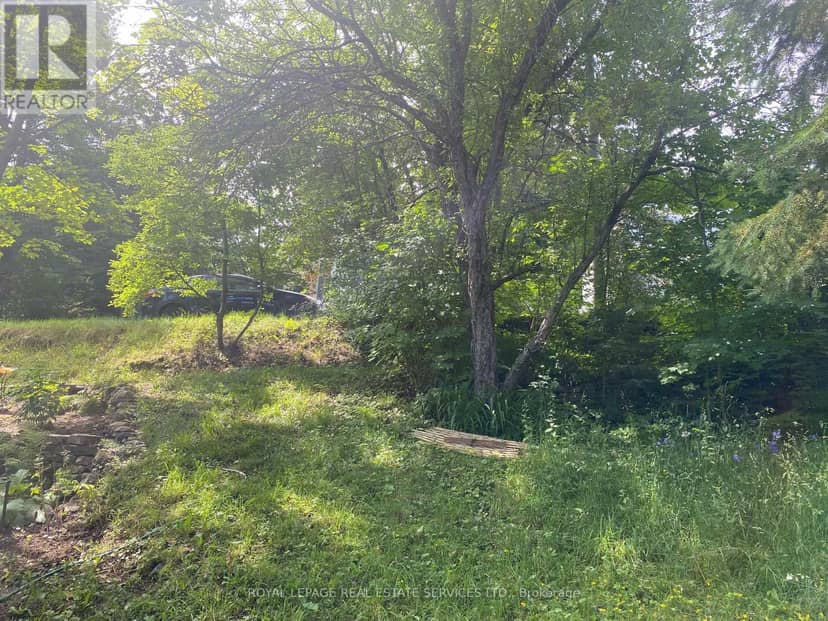 16 Cora Street E — photo 12 of 22