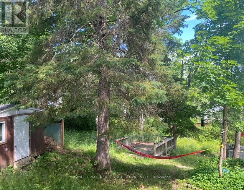 16 Cora Street E — photo 19 of 22