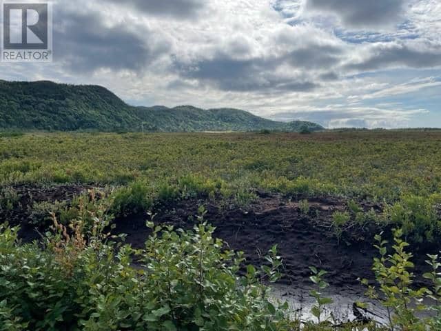 460 Route - White's Road — photo 11 of 34