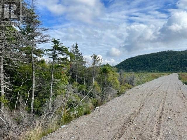 460 Route - White's Road — photo 13 of 34