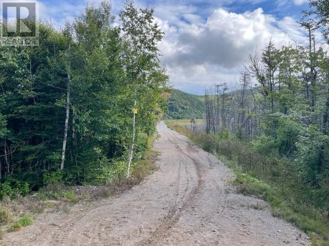 460 Route - White's Road — photo 2 of 34