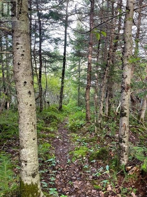 460 Route - White's Road — photo 29 of 34