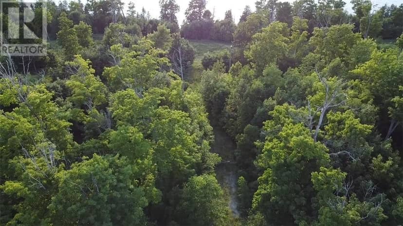 Lot 4 Green Bay Shores, Nemi, photo 8