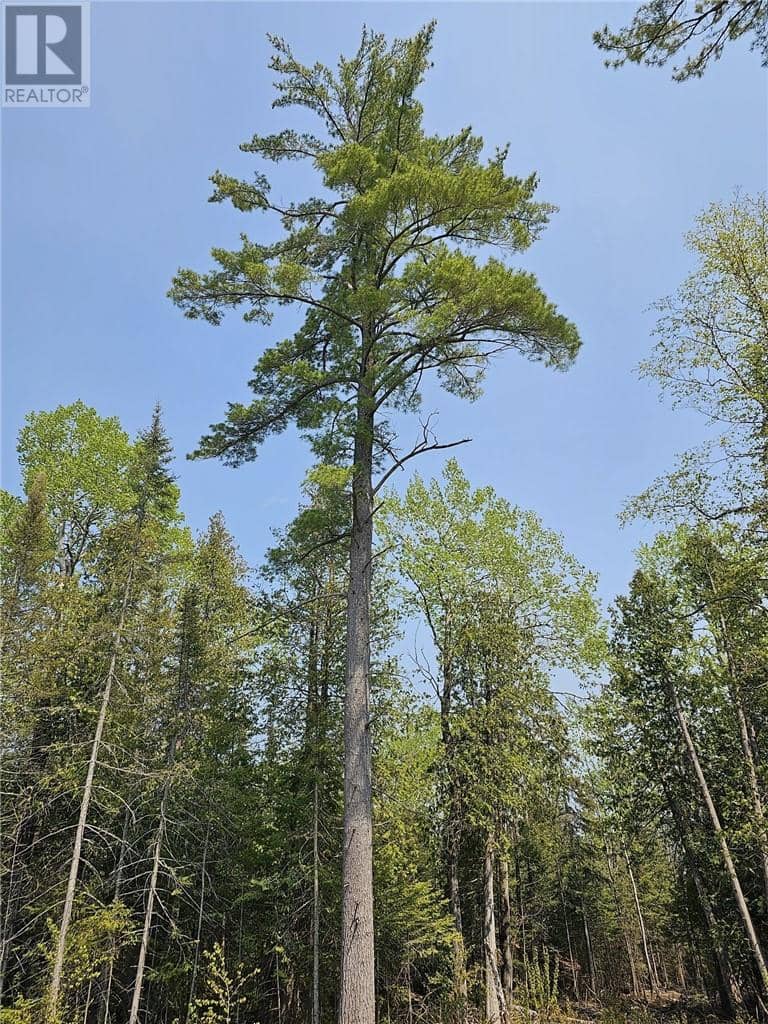 Lot 2 Sandy Point Rd, Assiginack, Manitoulin Island, photo 6