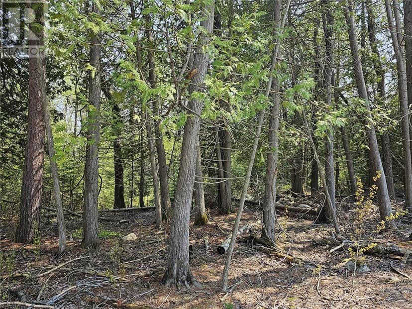 Lot 2 Sandy Point Rd, Assiginack, Manitoulin Island, photo 7