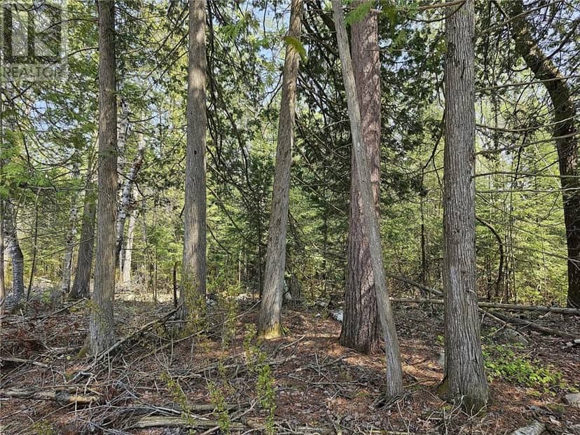 Lot 2 Sandy Point Rd, Assiginack, Manitoulin Island, photo 8