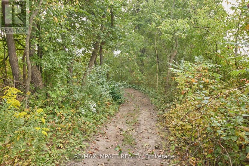 10249 Old Scugog Road — photo 23 of 37