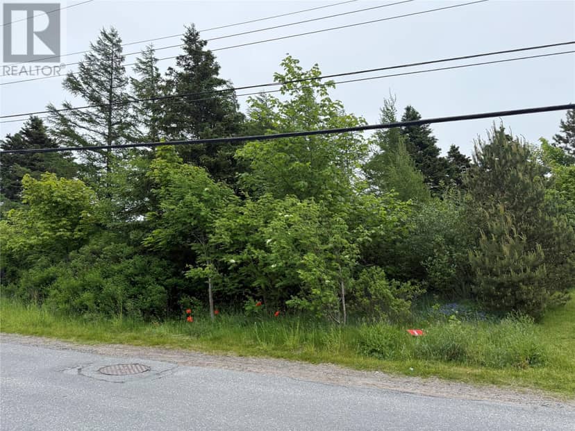 49 Back Road, Upper Island Cove
