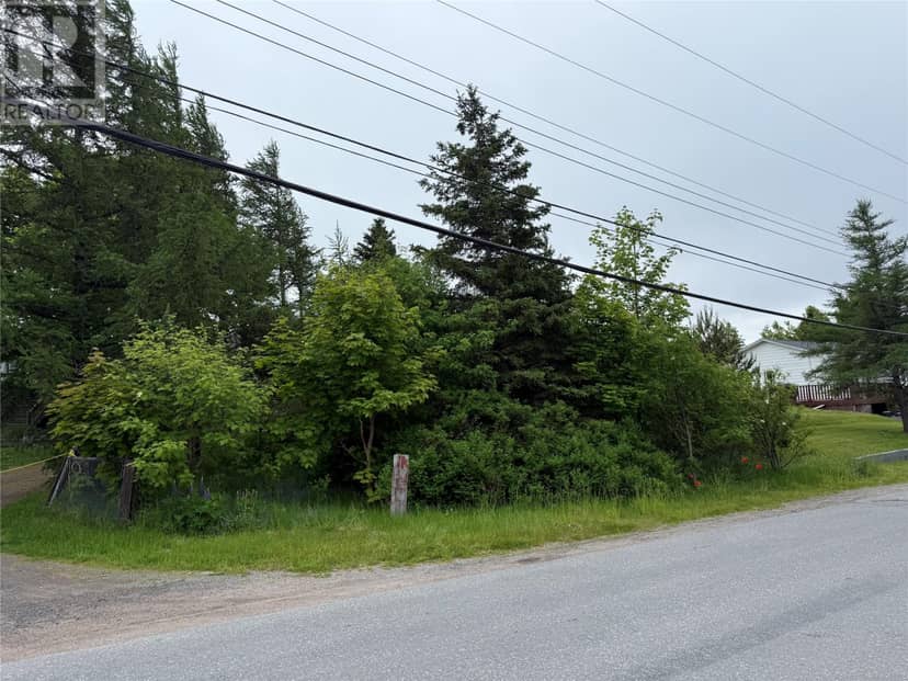 49 Back Road, Upper Island Cove, photo 2