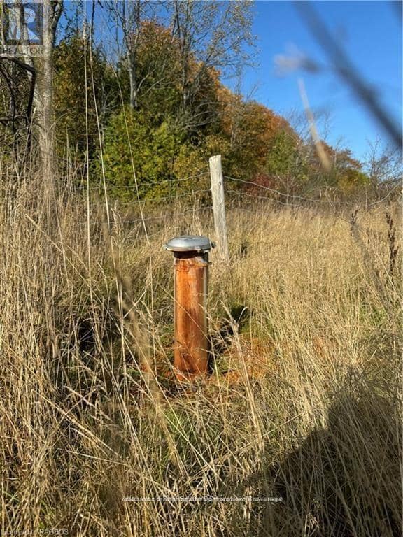 3288 Hwy 6, Northern Bruce Peninsula, photo 2