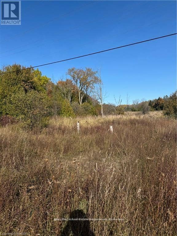 3288 Hwy 6, Northern Bruce Peninsula, photo 3