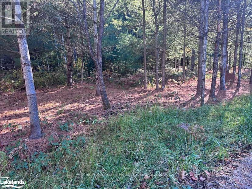 1081 Hawk Valley Road, Algonquin Highlands, photo 2