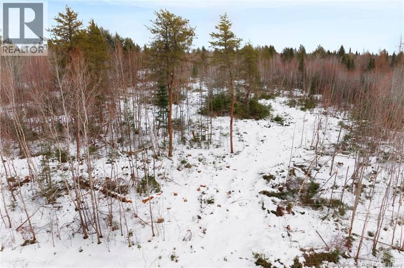 Lots 25-1 & 25-3 Cumberland Bay North Road — photo 15 of 21