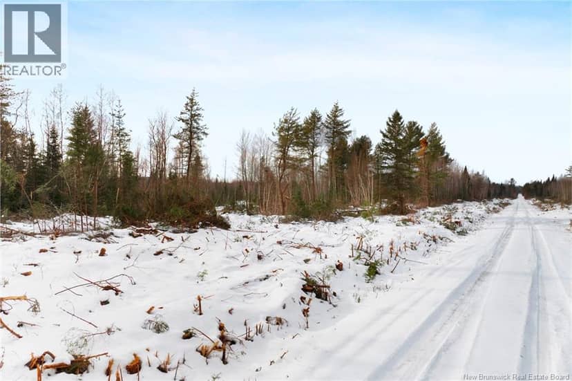 Lots 25-1 & 25-3 Cumberland Bay North Road — photo 18 of 21