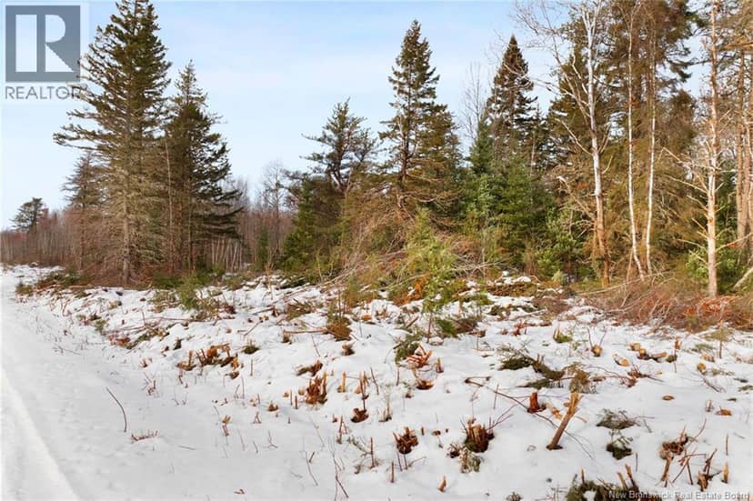 Lots 25-1 & 25-3 Cumberland Bay North Road — photo 19 of 21