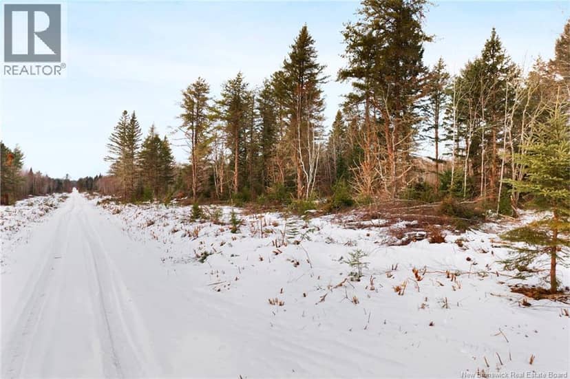 Lots 25-1 & 25-3 Cumberland Bay North Road — photo 21 of 21