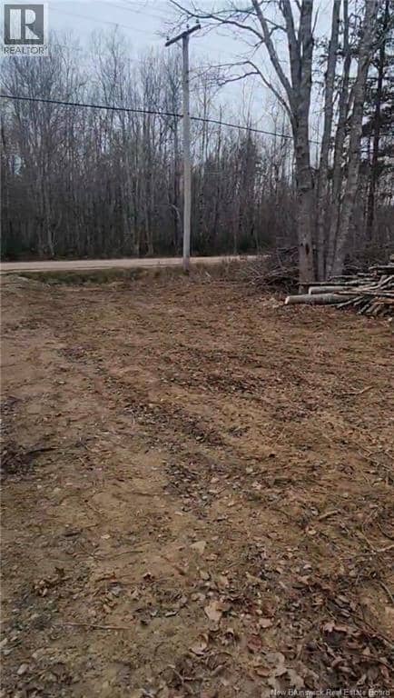 5701 Route 495, Saint-Fabien, photo 4