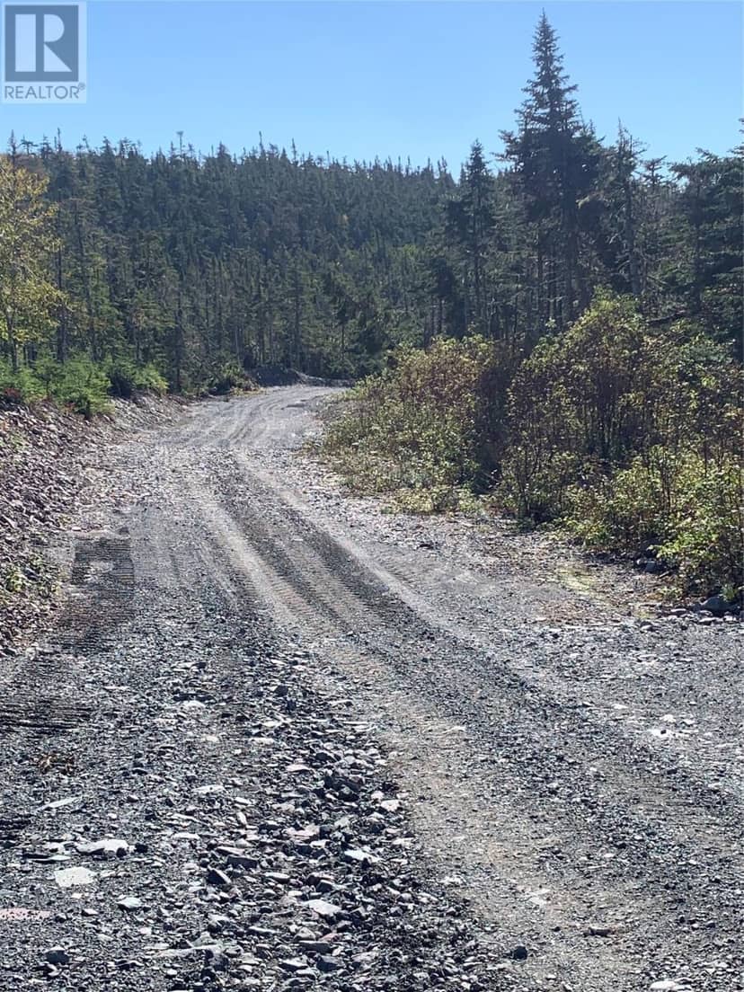 Lot 27 Halleran Trail, Brigus Junction, photo 4