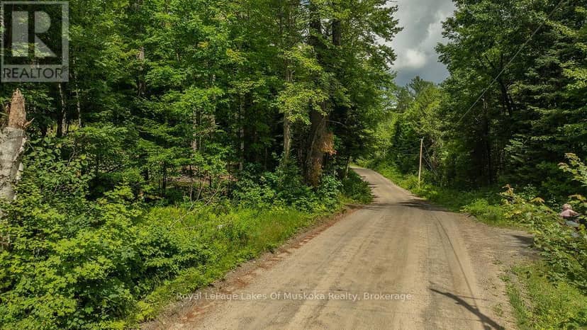 0000 Ril Lake Road S, Lake of Bays, photo 2