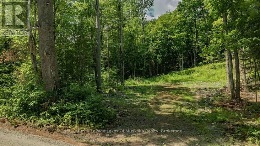 0000 Ril Lake Road S, Lake of Bays, photo 3