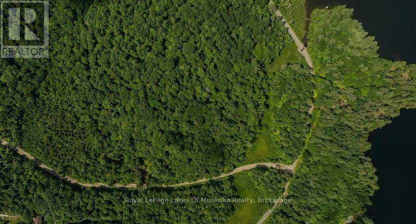 0000 Ril Lake Road S, Lake of Bays, photo 4